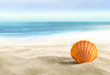 甘冈球员积极备战洲际比赛，为国争光