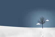 桑普多利亚与圣埃蒂安对决结果如何？