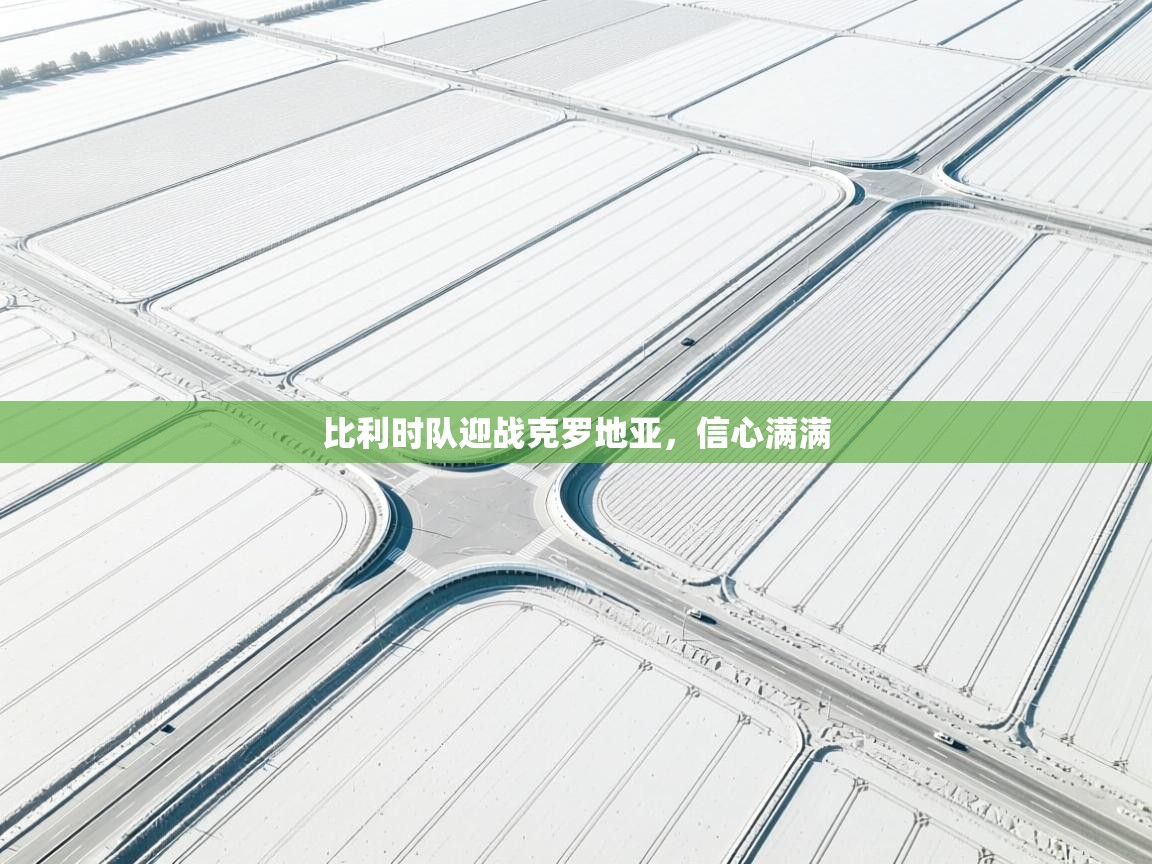 比利时队迎战克罗地亚，信心满满  第1张